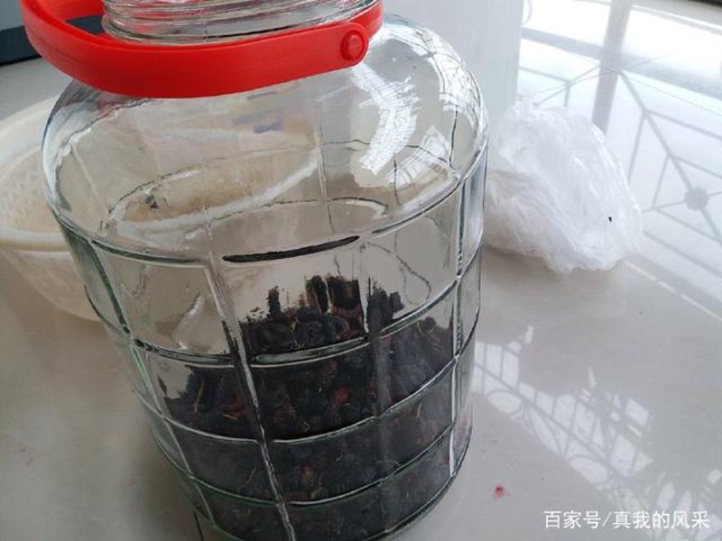 安徽桑果酒：品味自然之味